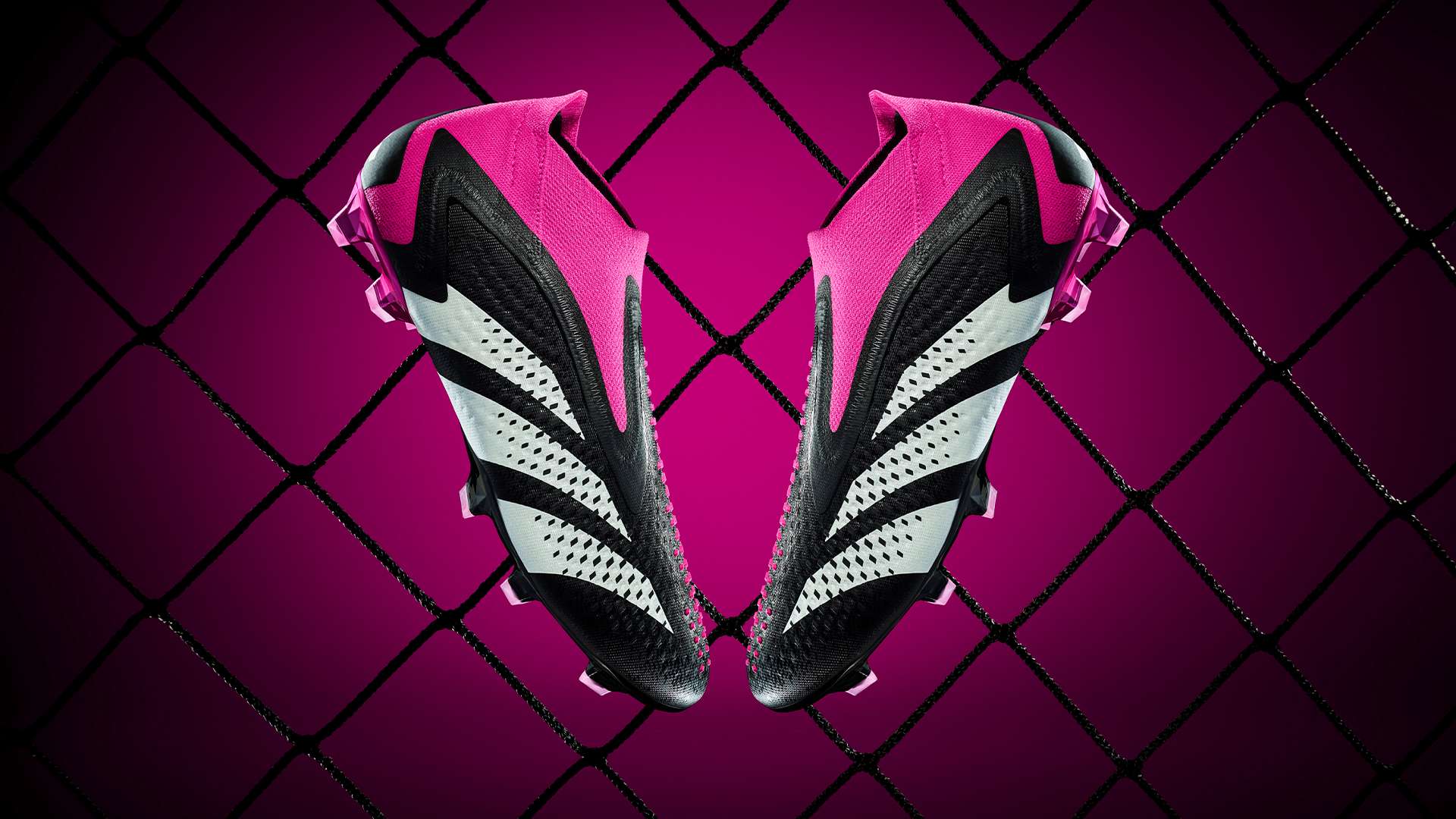 学所代表的 学所代表的